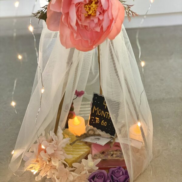 Canopy Hamper 1